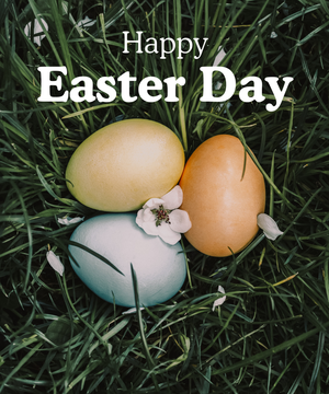 Enjoy Your Most Comfortable Spring Yet